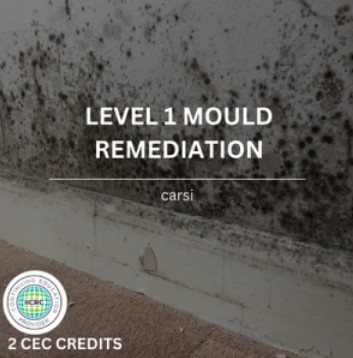 Mould and Water Remediation Courses